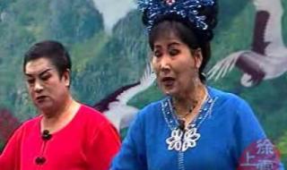 二人转正戏包公赔情