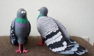 上面有两个鸽子